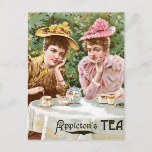 Appleton's Tea Vintage Drink Ad Art Postcard