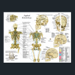 Applied Kinesiology Chiropractic Poster<br><div class="desc">Applied kinesiology poster showing the neurolymphatic reflex points, acupuncture points for the treatment of gait mechanism, muscle/meridian association, TS line, stress receptor locations, neurovascular reflex points, tooth muscle relationship. Designed for manual therapists, touch for health, chiropractors and osteopaths. Key Features: Neurolymphatic reflex points - front & back, Temporal Sphenoidal Line...</div>