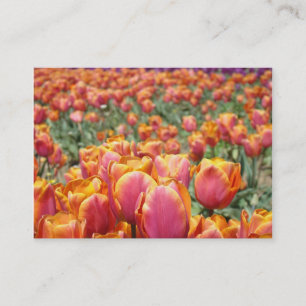 Appointment Cards Medical Dental Healthcare Tulips