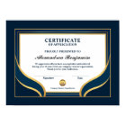 Appreciation Achievement Gold Blue Certificate