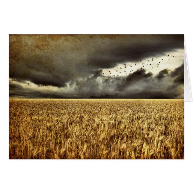 Approaching Storm Card (Front Horizontal)