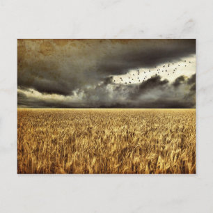 Approaching Storm Post Card