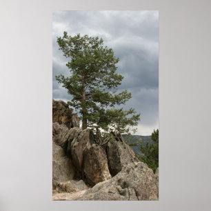 Approaching Storm Poster