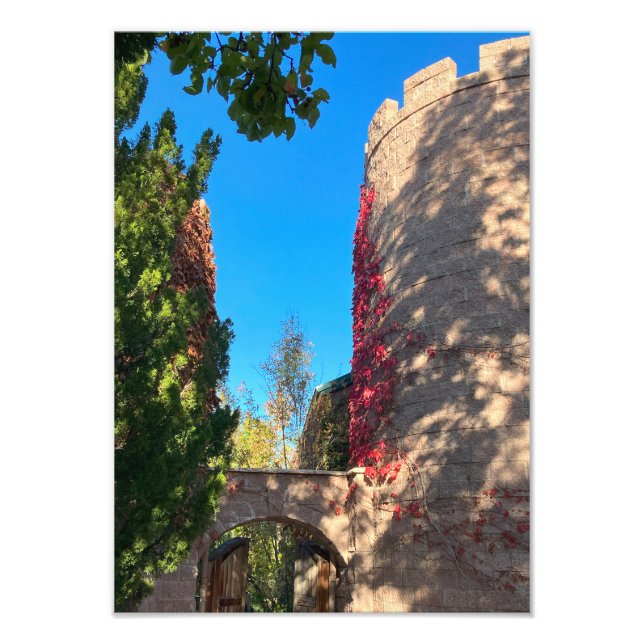 Approaching the Keep Photo Print (Front)