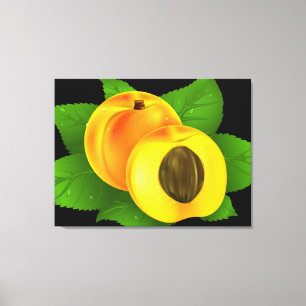Apricot Canvas Print
