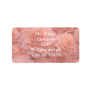 Apricot Crush Succulent Colours for 2024  Label