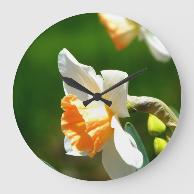 Apricot Daffodil Wall Clock (Front)