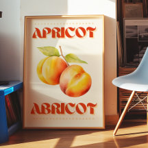 Apricot English/French Wall Art Poster