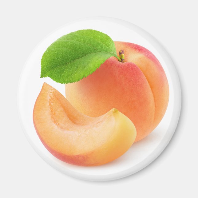 Apricot fruit magnet (Front)