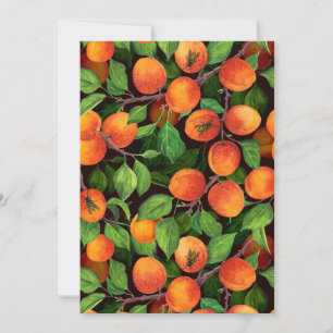 Apricot garden 1