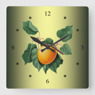 Apricot ~ Giorgio Gallesio ~ Botanical Fruit ~ Square Wall Clock