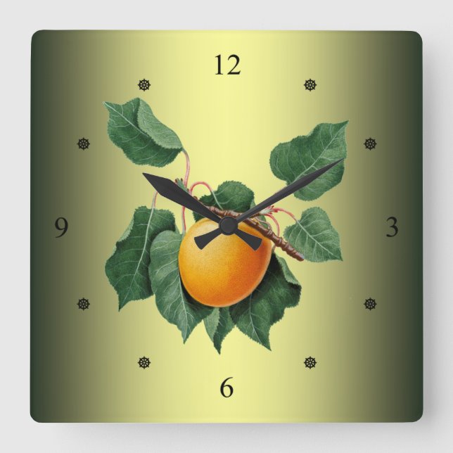 Apricot ~ Giorgio Gallesio ~ Botanical Fruit ~ Square Wall Clock (Front)