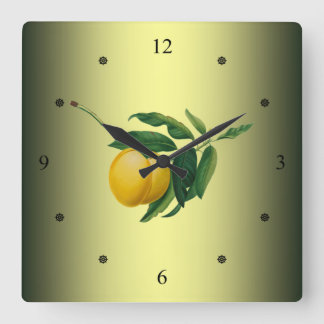 Apricot ~ Giorgio Gallesio ~ Botanical Fruit ~ Square Wall Clock
