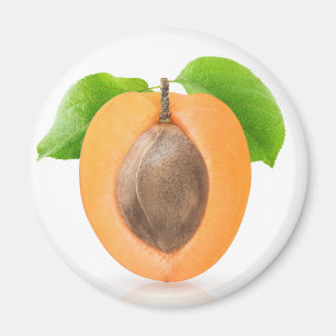 Apricot half magnet