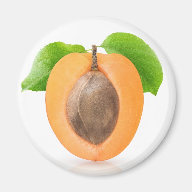 Apricot half magnet (Front)