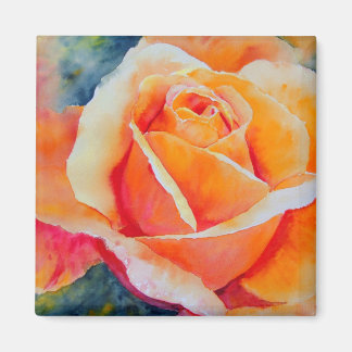 Apricot Magnet