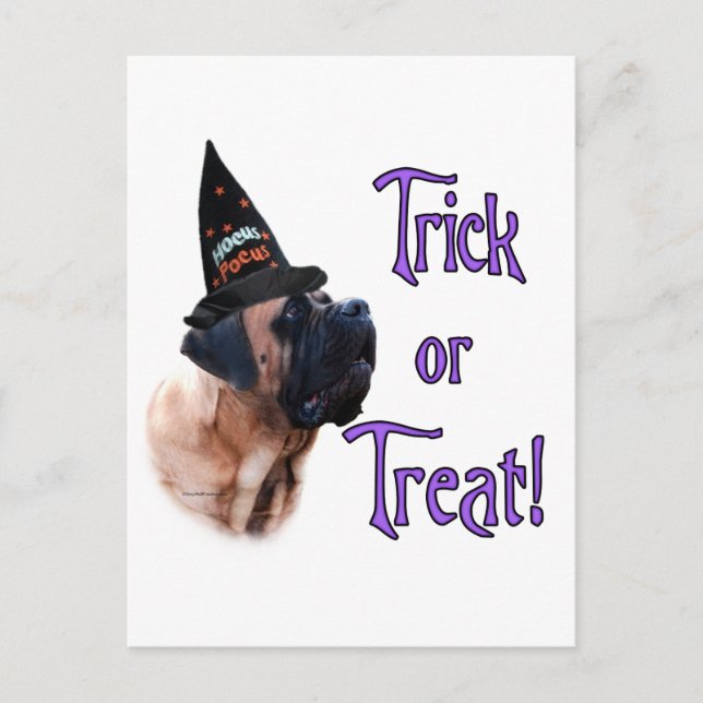Apricot Mastiff Trick Postcard (Front)