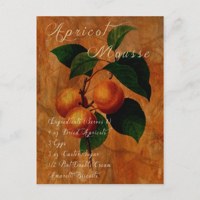 Apricot Mousse Postcard (Front)