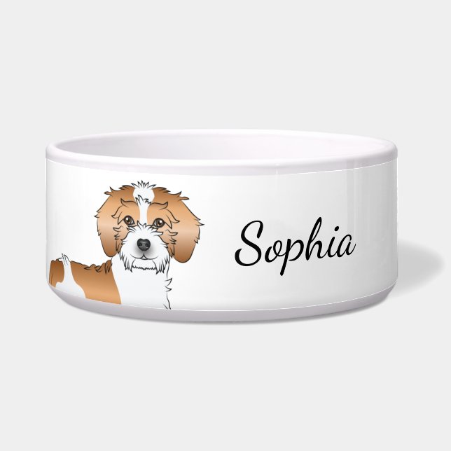 Apricot Parti-colour Mini Goldendoodle Dog (Front)