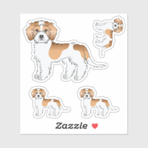 Apricot Parti-colour Mini Goldendoodle Dogs