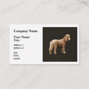 Apricot Poodle Business Card