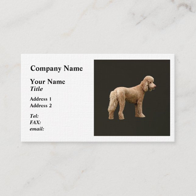 Apricot Poodle Business Card (Front)