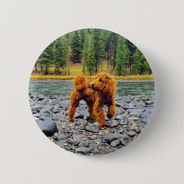 Apricot Poodle - Customisable Gift 6 Cm Round Badge (Front)