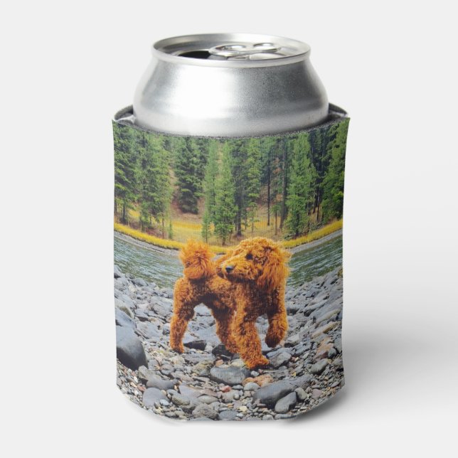 Apricot Poodle - Customisable Gift Can Cooler (Can Front)
