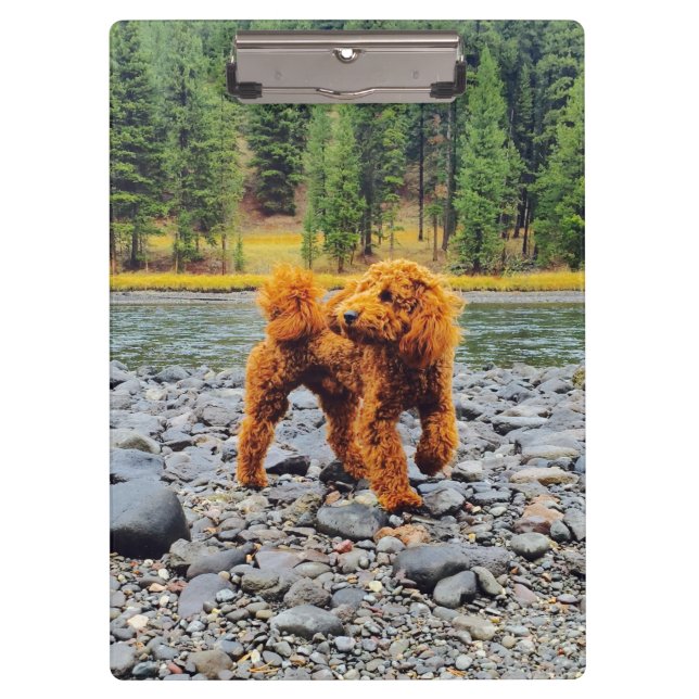 Apricot Poodle - Customisable Gift Clipboard (Front)
