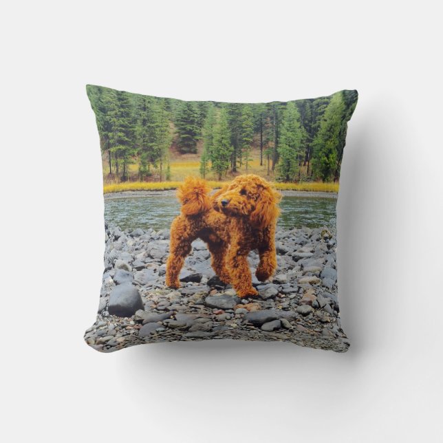 Apricot Poodle - Customisable Gift Cushion (Front)