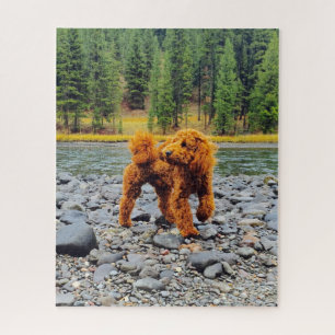 Apricot Poodle - Customisable Gift Jigsaw Puzzle