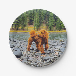 Apricot Poodle - Customisable Gift Paper Plate