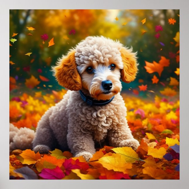Apricot Poodle Puppy in Fall Leaves   Poster (Front)