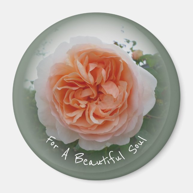 Apricot Rose In Full Bloom With Green Vignette Magnet (Front)