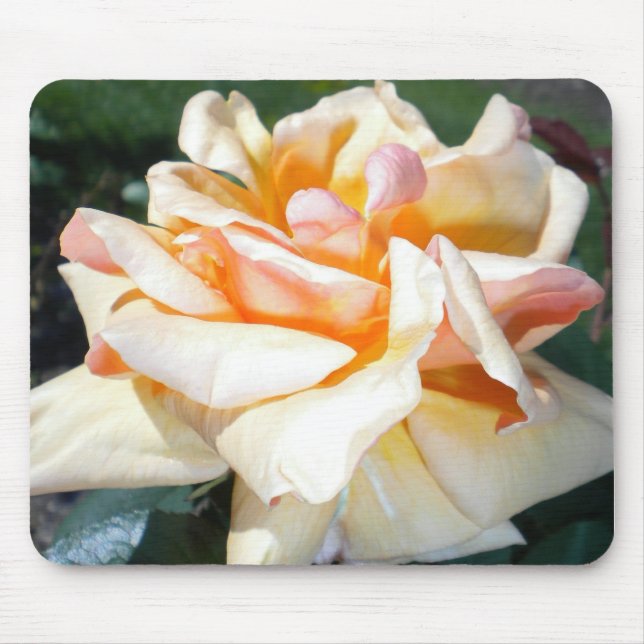 Apricot Rose Mouse Pad (Front)
