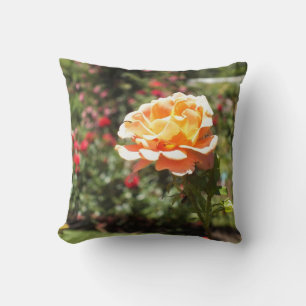 Apricot Rose Throw Pillow