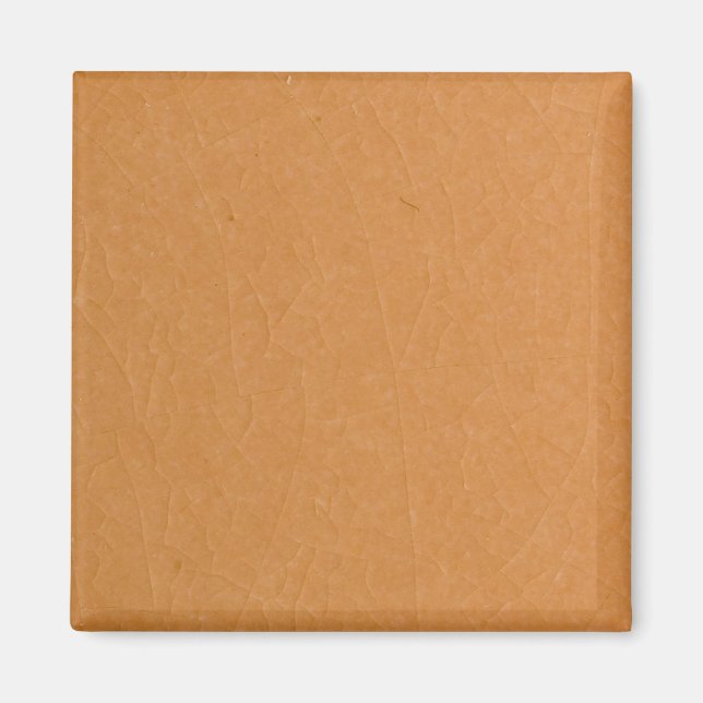 Apricot stone cracks magnet (Front)