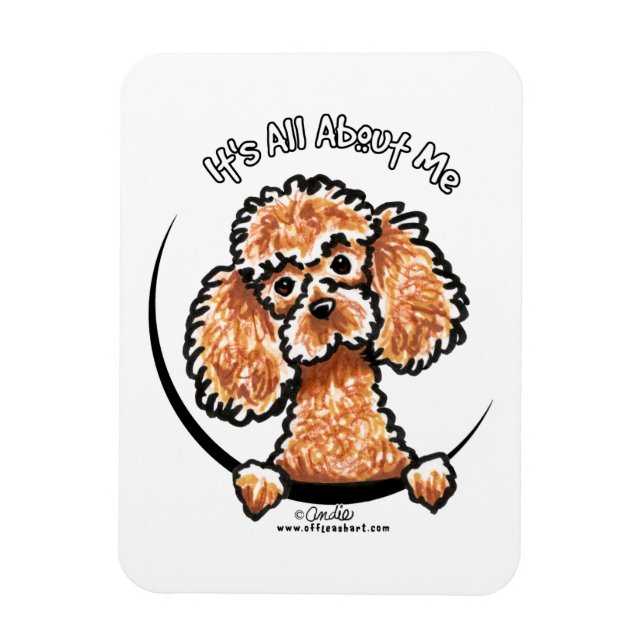 Apricot Toy Miniature Poodle IAAM Magnet (Vertical)