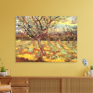 Apricot Trees in Blossom by Vincent van Gogh Canvas Print
