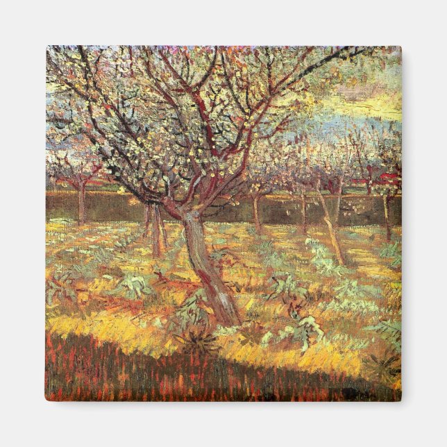 Apricot Trees in Blossom by Vincent van Gogh Magnet (Front)