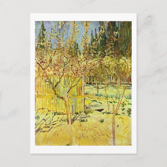 Apricot Trees in Blossom, Van Gogh Fine Art Postcard (Front)