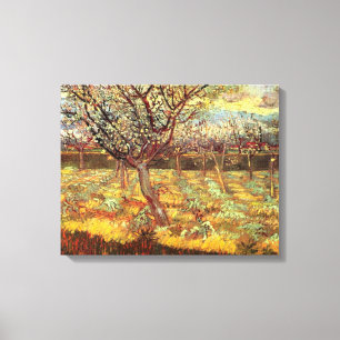 Apricot Trees in Blossom, Vincent van Gogh. Canvas Print