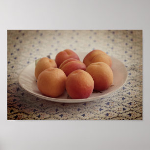 Apricots on a plate poster