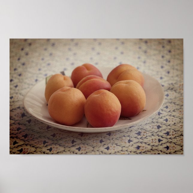 Apricots on a plate poster (Front)