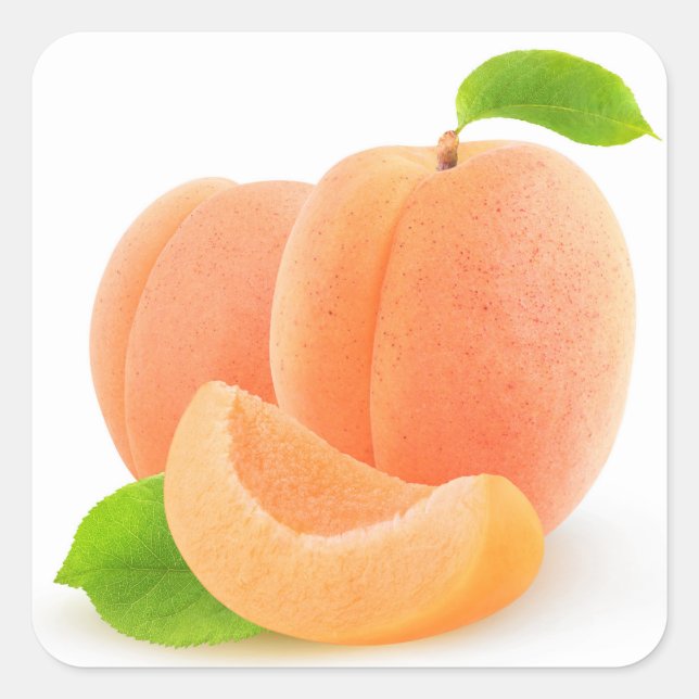 Apricots Square Sticker (Front)