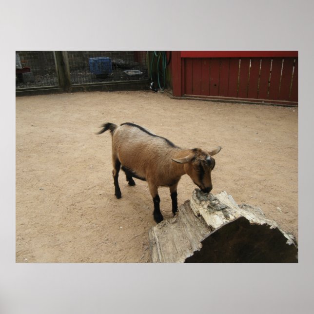 April 3 (11) Canvas Poster (Front)