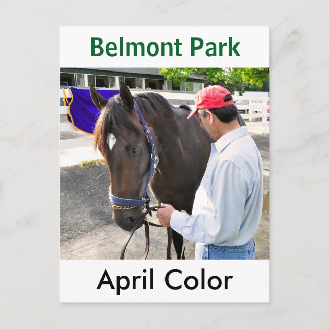 April Colour by Majestic Warrior Postcard (Front)