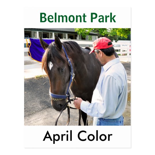 April Colour by Majestic Warrior Postcard