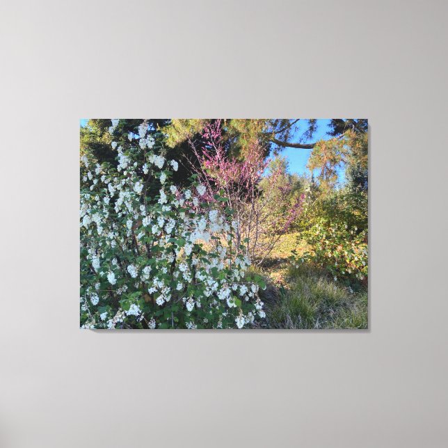 April Currants Canvas Print (Front)