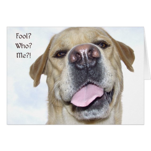 April fool's day (Front Horizontal)